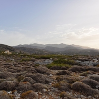 Land plot in Greece, Crete, 13500 sq.m.