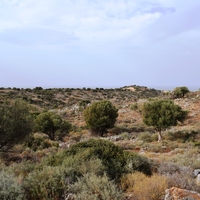 Land plot in Greece, Crete, 5859 sq.m.