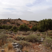 Land plot in Greece, Crete, 5859 sq.m.