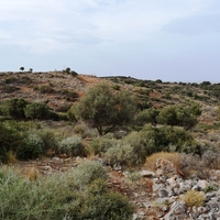 Land plot in Greece, Crete, 5859 sq.m.