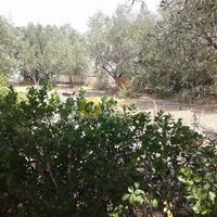 Land plot in Greece, Attica, Athens, 80 sq.m.