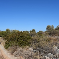 Земельный участок в Греции, Крит, Ханья, 6900 кв.м.