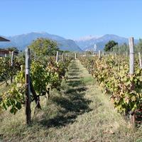 Villa in Greece, Central Macedonia, Center, 400 sq.m.