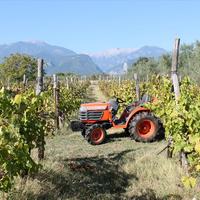 Villa in Greece, Central Macedonia, Center, 400 sq.m.