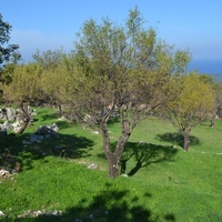 Land plot in Greece, Ionian Islands