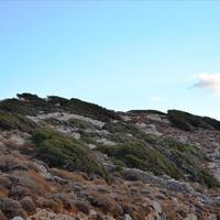 Land plot in Greece, Crete