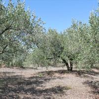 Other in Greece, Central Macedonia, Center, 100 sq.m.