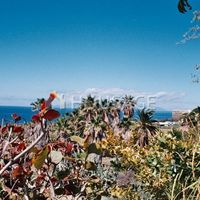 Вилла в Испании, Канарские Острова, Санта-Крус-де-Тенерифе, 2693 кв.м.