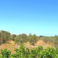 Земельный участок в Греции, Крит, Ханья, 2000 кв.м.