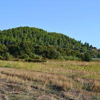Land plot in Greece, Central Macedonia, Center