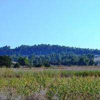 Land plot in Greece, Central Macedonia, Center