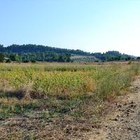 Land plot in Greece, Central Macedonia, Center