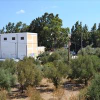 Land plot in Greece, Crete