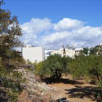 Land plot in Greece, Crete