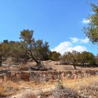 Land plot in Greece, Crete
