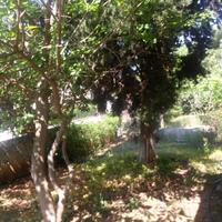 Other in Greece, Attica, Athens, 83 sq.m.