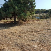 Land plot in Greece, Central Macedonia, Center