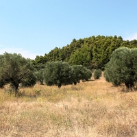 Land plot in Greece, Central Macedonia, Center