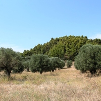 Land plot in Greece, Central Macedonia, Center