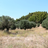 Land plot in Greece, Central Macedonia, Center