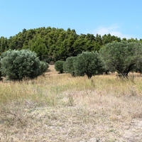 Land plot in Greece, Central Macedonia, Center