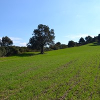 Земельный участок в Греции, Центральная Македония, Центр