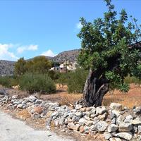 Land plot in Greece, Crete