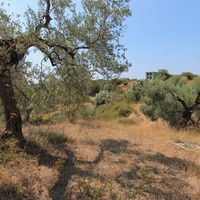 Land plot in Greece, Central Macedonia, Center