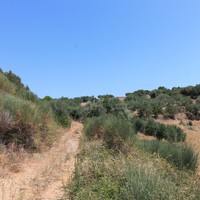 Land plot in Greece, Central Macedonia, Center