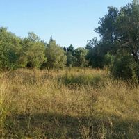 Земельный участок в Греции, Центральная Македония, Центр