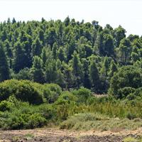 Земельный участок в Греции, Центральная Македония, Центр