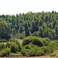 Земельный участок в Греции, Центральная Македония, Центр