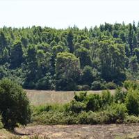 Земельный участок в Греции, Центральная Македония, Центр