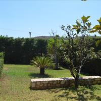 Other in Greece, Attica, Athens, 300 sq.m.