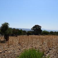Land plot in Greece, Crete, 2200 sq.m.