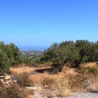 Land plot in Greece, Crete, 8556 sq.m.