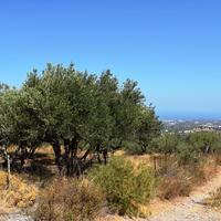Land plot in Greece, Crete, 8556 sq.m.