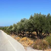 Land plot in Greece, Crete, 8556 sq.m.