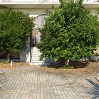 Business center in Greece, Ionian Islands, 180 sq.m.