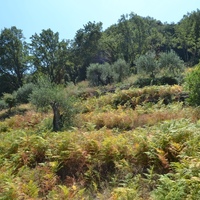 Land plot in Greece, Ionian Islands