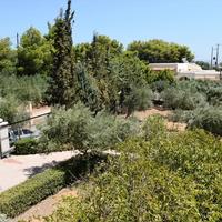 Villa in Greece, Crete, Chania, 360 sq.m.