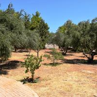 Villa in Greece, Crete, Chania, 360 sq.m.