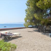 Villa in Greece, Peloponnese, Kori, 220 sq.m.