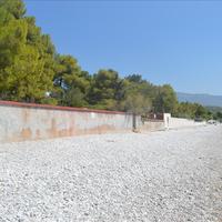 Villa in Greece, Peloponnese, Kori, 220 sq.m.