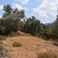 Land plot in Greece, Crete, 4013 sq.m.
