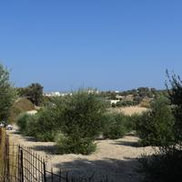 Земельный участок в Греции, Крит, Ханья, 877 кв.м.