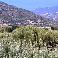 Land plot in Greece, Crete