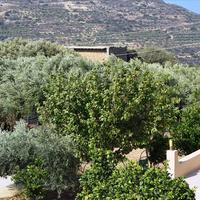 Land plot in Greece, Crete