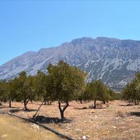 Land plot in Greece, Crete