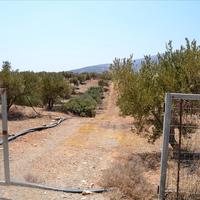 Land plot in Greece, Crete